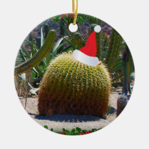 Julkaktus Julgransprydnad Keramik
