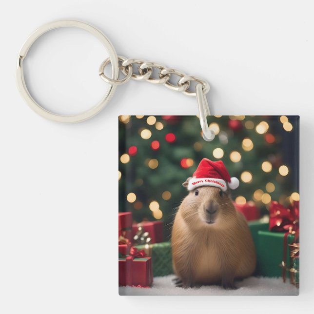Julkanen Capybara. (Framsidan)