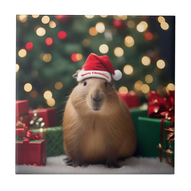 Julkanen Capybara. Kakelplatta (Framsidan)
