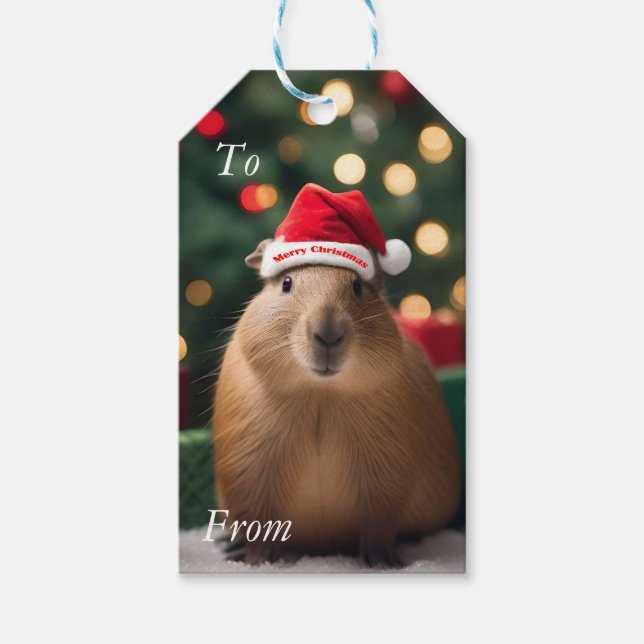 Julkanen Capybara. Presentetikett (Framsidan)