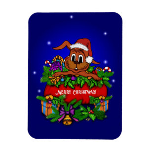 Julkanen Magnet