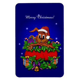 Julkanen Magnet