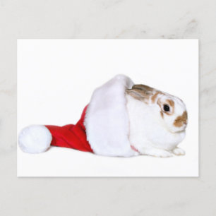 Julkanin Helg Vykort