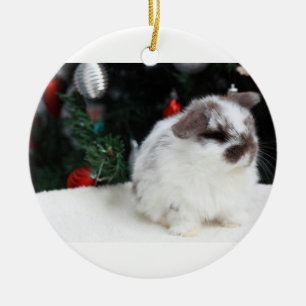 Julkanin Julgransprydnad Keramik