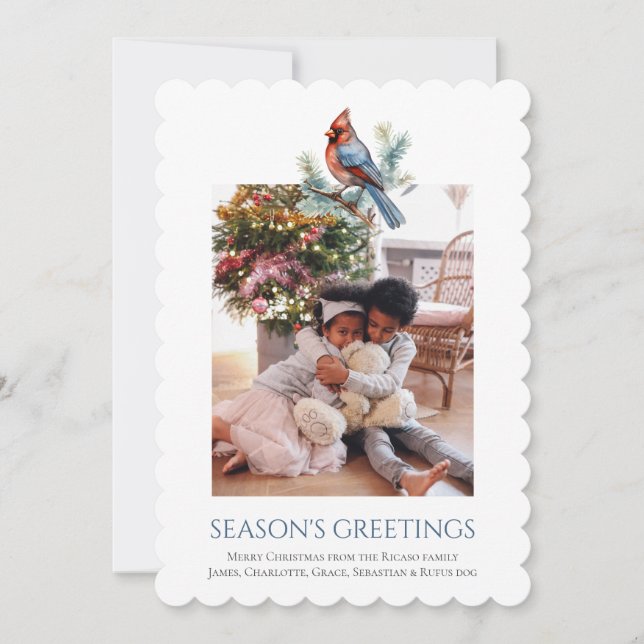 Julkardinal Bird Photo Template Julkort (Framsida)