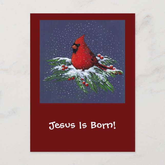 JULKARDINAL: FÅGEL: KONST: SNÖ HELG VYKORT (Framsida)