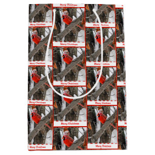 Julkardinal med Stockkapsyl