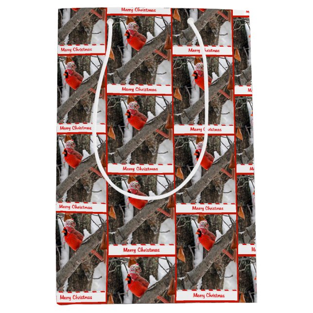 Julkardinal med Stockkapsyl (Framsidan)