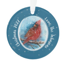 Julkardinal Snöflingor på Red eller Blue