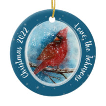 Julkardinal Snöflingor på Red eller Blue