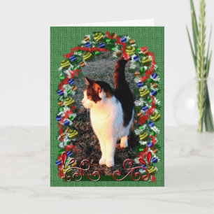 Julkat Helgdag Katti Julafton Pet-meddelande Helgkort