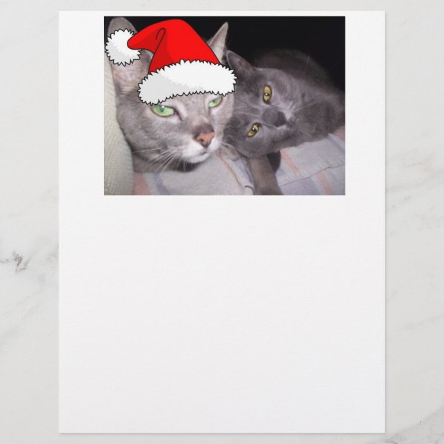 Julkatt (Framsida)