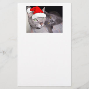 Julkatt Brevpapper