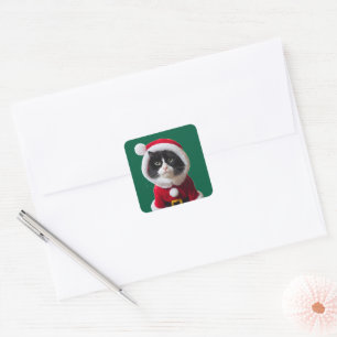 Julkatt Fyrkantigt Klistermärke