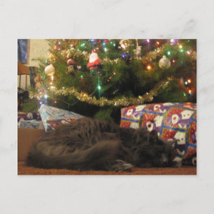 Julkatt Helg Vykort