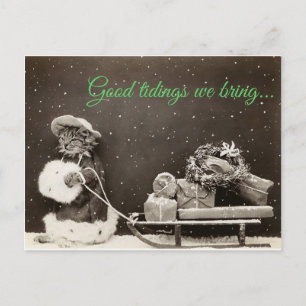 Julkatt Helg Vykort