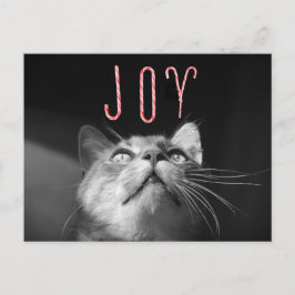 Julkatt Helg Vykort