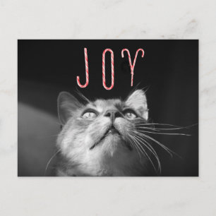 Julkatt Helg Vykort