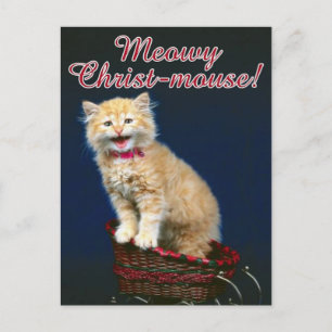 Julkatt Helg Vykort