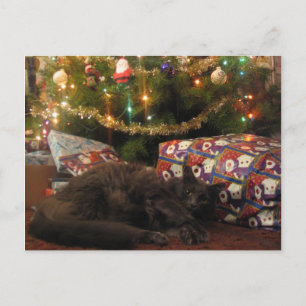 Julkatt Helg Vykort