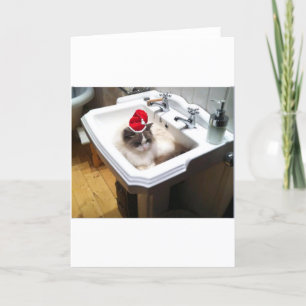 Julkatt Helgkort