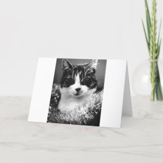 Julkatt Helgkort