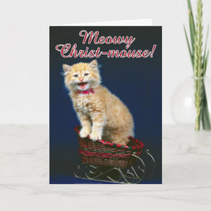 Julkatt Helgkort