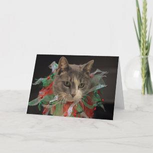 Julkatt Helgkort