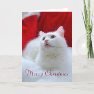 Julkatt Helgkort