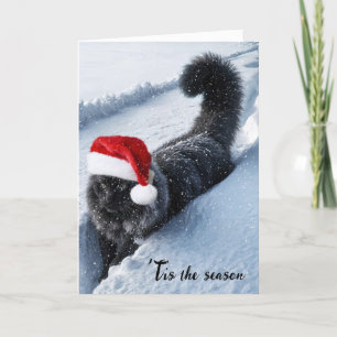 Julkatt i Deep Snö Helgkort