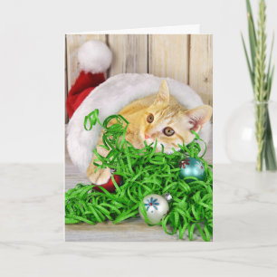 Julkatt i hatt helgkort