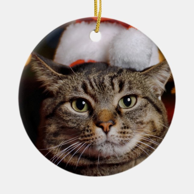 Julkatt Julgransprydnad Keramik (Framsidan)
