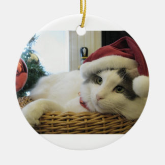 julkatt julgransprydnad keramik