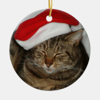 Julkatt Julgransprydnad Keramik