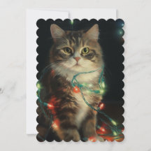 Julkatt