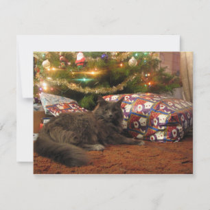 Julkatt Julkort