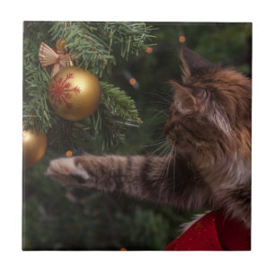 Julkatt Kakelplatta