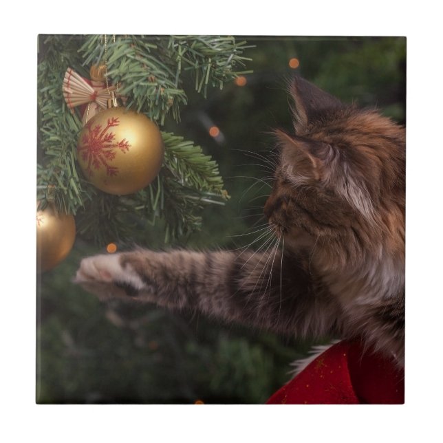 Julkatt Kakelplatta (Framsidan)