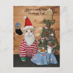 Julkatt/Kattunge i PJ Helg Vykort
