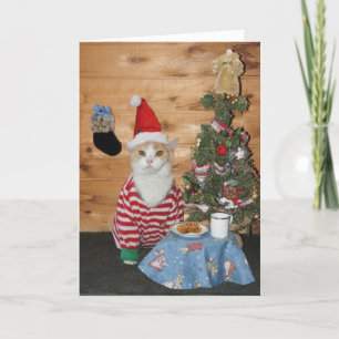 Julkatt/Kattunge i PJ Helgkort