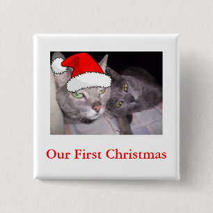 Julkatt Knapp