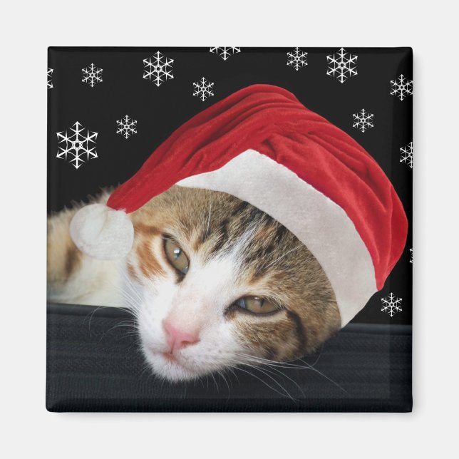 Julkatt Magnet (Framsidan)