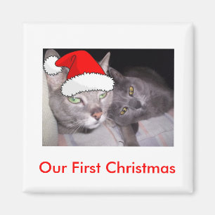 Julkatt Magnet