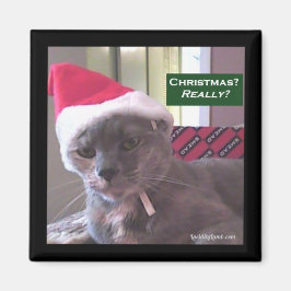 Julkatt Magnet