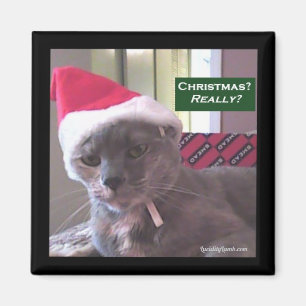 Julkatt Magnet