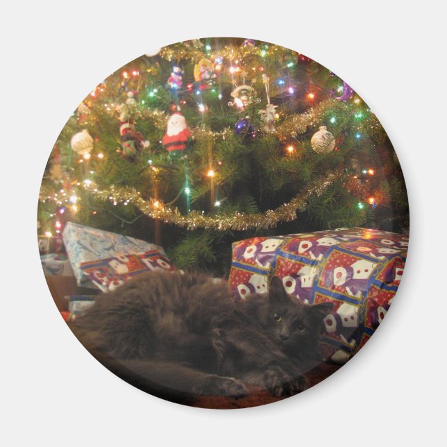 Julkatt Magnet (Framsidan)