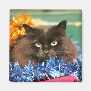 Julkatt Magnet