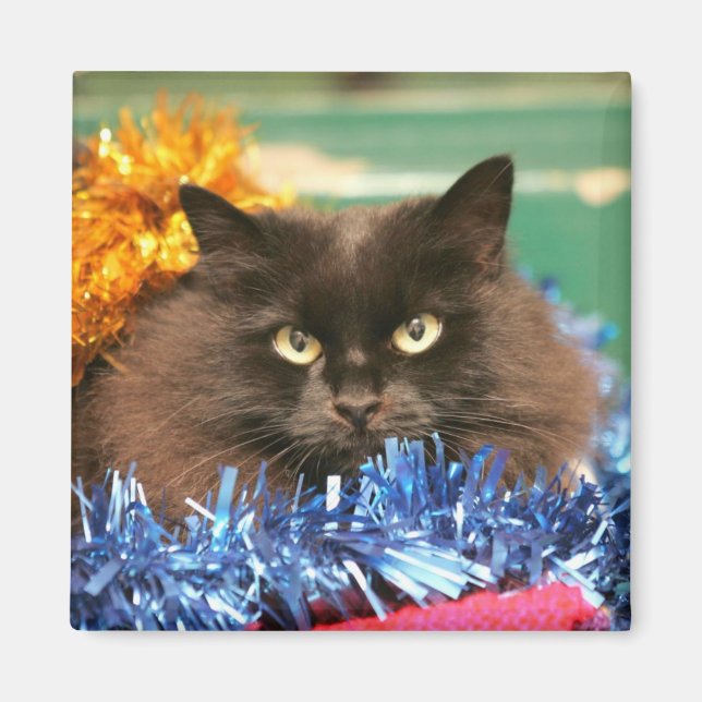 Julkatt Magnet (Framsidan)