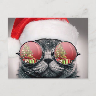 Julkatt med solglasögon vykort