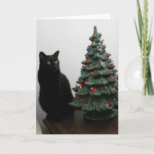 Julkatt med trädkortet helgkort